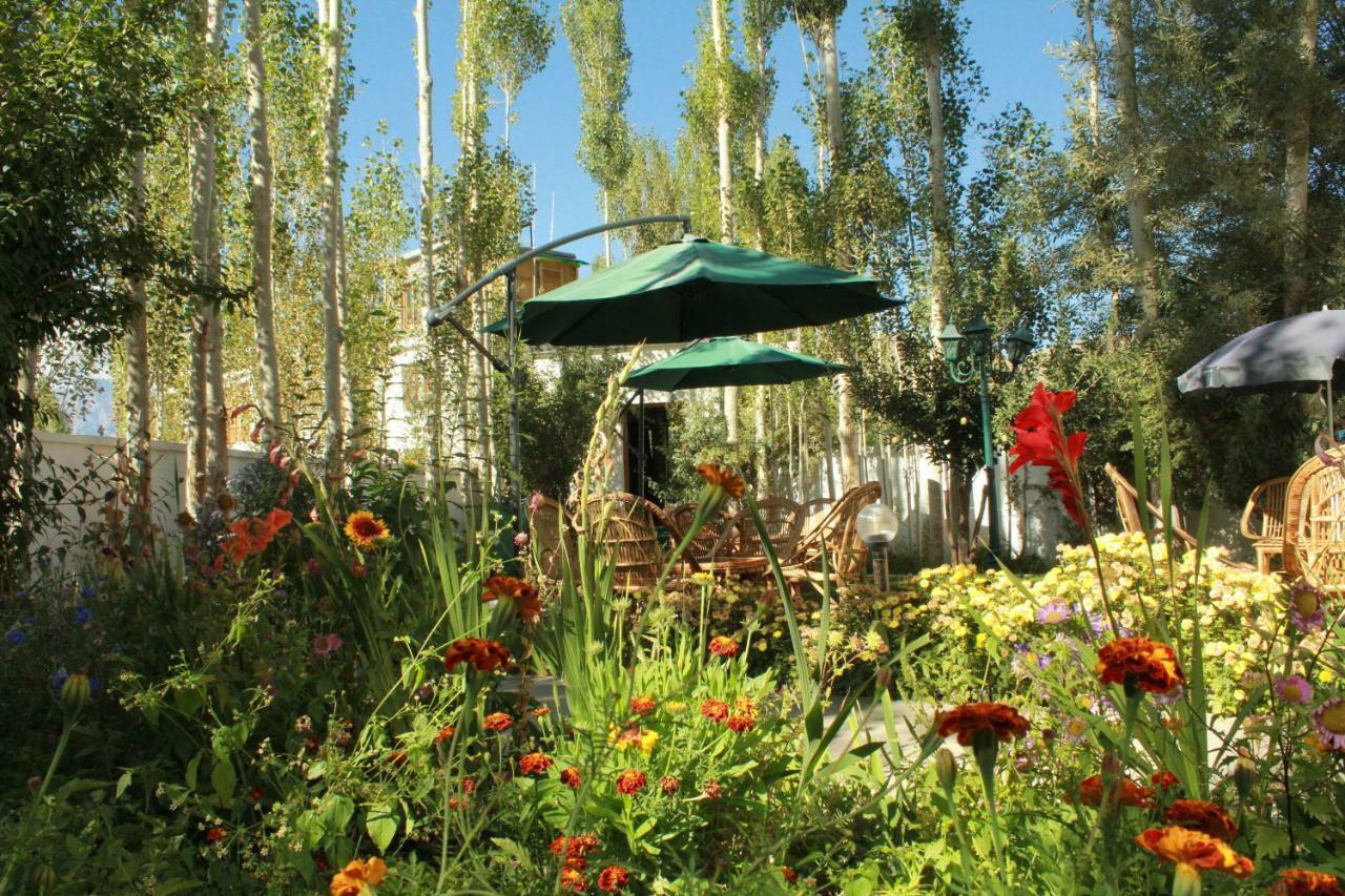 Hotel Ladakh Greens - An Organic Retreat Leh Extérieur photo